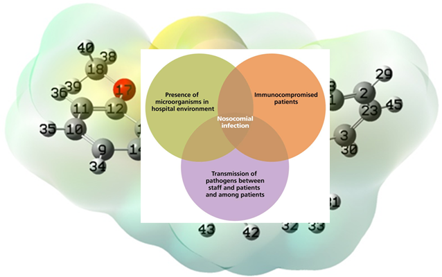 Graphical Abstract